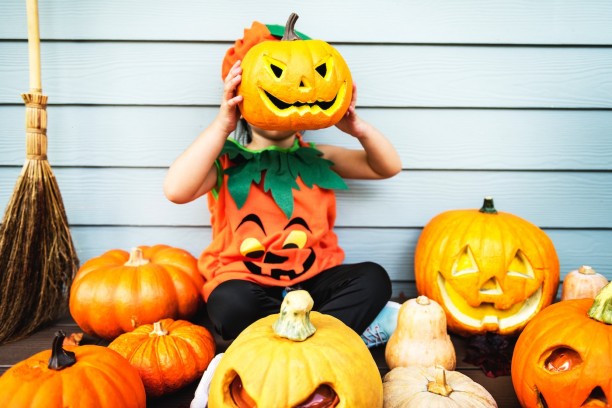 broom-carved-pumpkin-celebration-1484213-sm copy